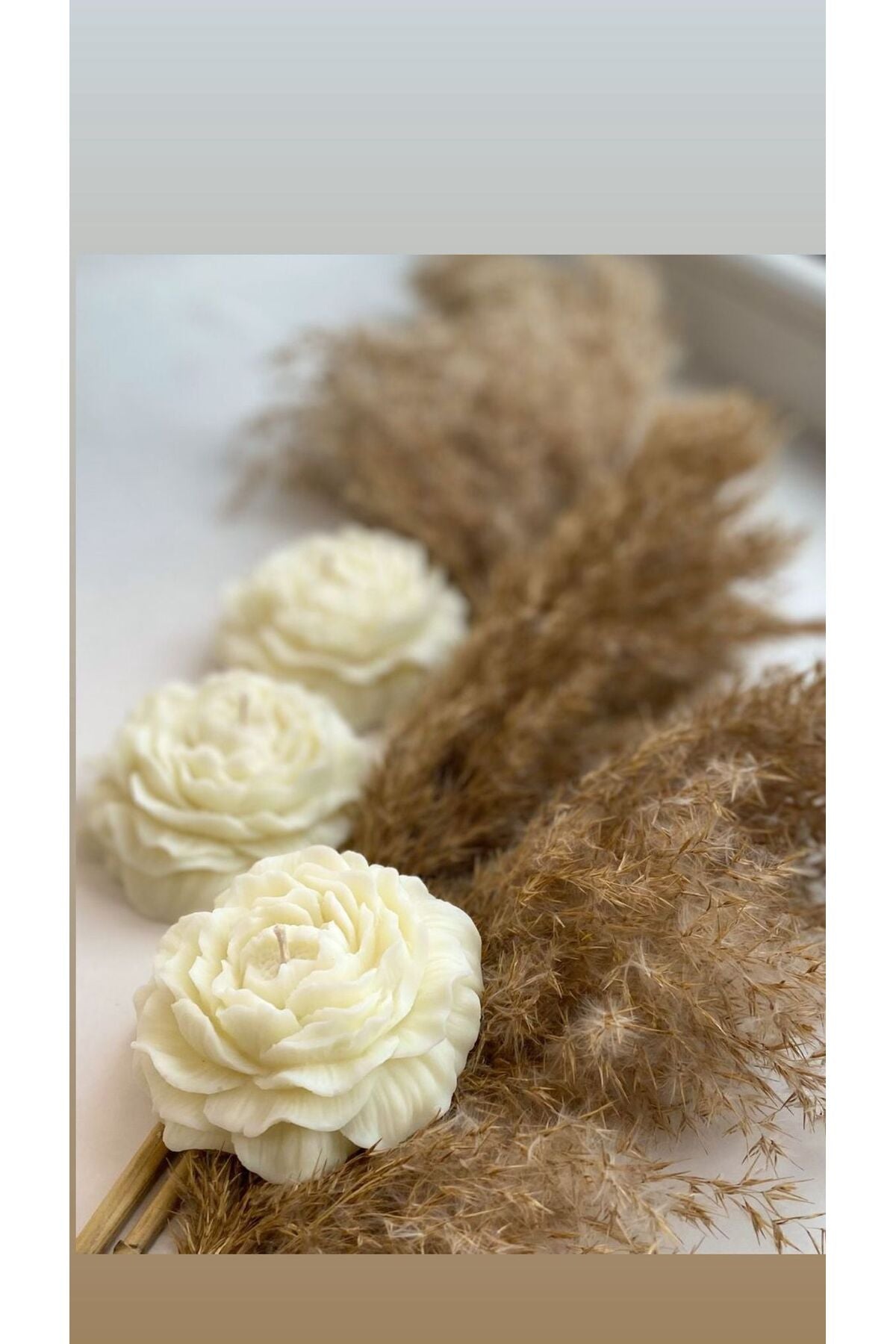 CANDLE El Yapımı Kokusuz Açmış Şakayik Gül Dekoratif Mum– Kırık Beyaz -7 cm 3'lü